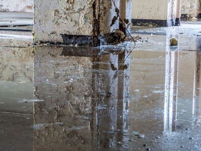 About Bringing Your Property Back to Life After Water Damage - water damage restoration experts in Carrollton	AL